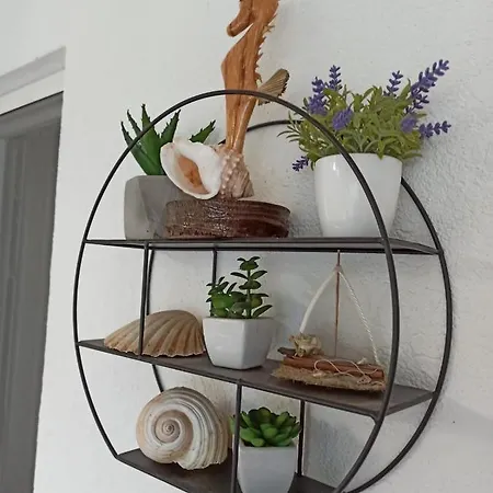 Robertino 1966 Daire