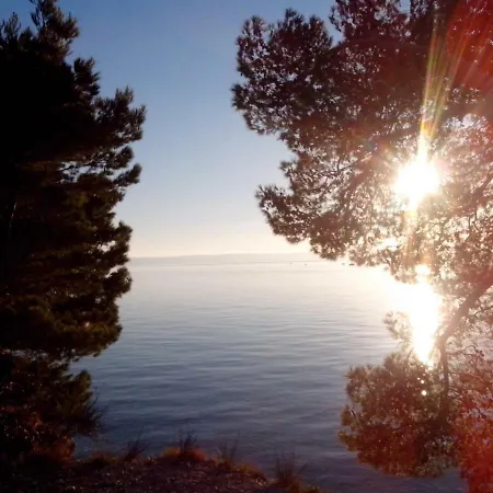 Daire Robertino 1966