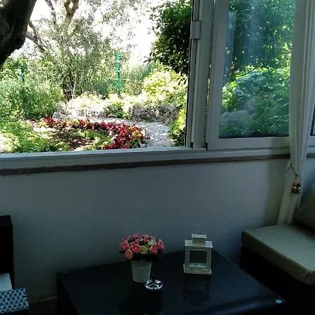 Robertino 1966 Apartment